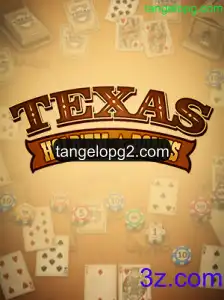 Texas Hold'em Bonus e Suas Regras no Mundo dos Jogos Online